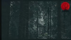 Агент ФБР Допросил Реального БИГФУТА - То что он Рассказал УЖАСАЕТ....mp4