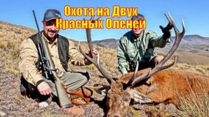 Потрясающая Охота на Двух Красных Оленей в Патагонии