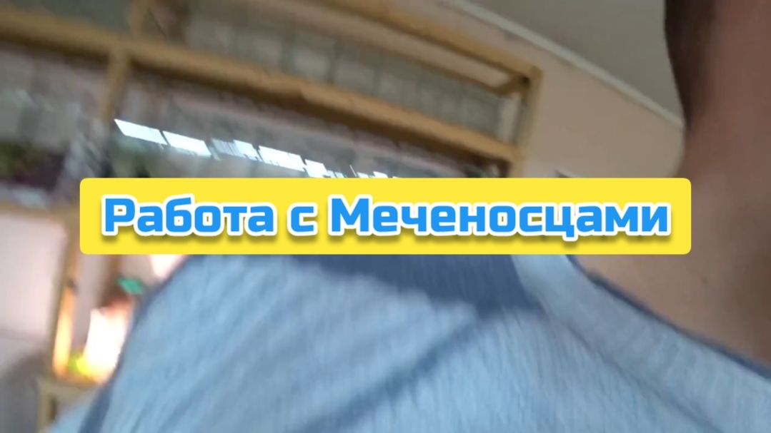 Работа с Меченосцами смотреть онлайн