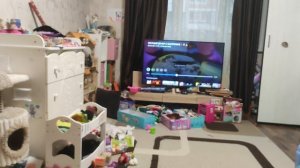 Один день с Басиками