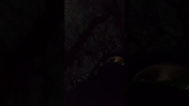 со школы смотреть онлайн