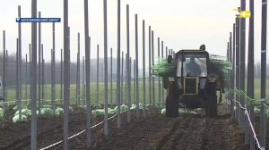 Новости на Своём от 10 декабря 2025г. 8:30