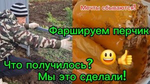 09-12-2025 Живём на юге/Холод/Фаршируем перчик/Продолжаем работать на участке/Забор /Что получилось?