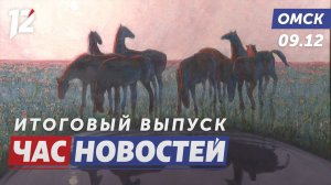 Выставка «Кони привередливые» / Морозы проверяют ТЭЦ / Колодец перегородил дорогу. Новости Омска