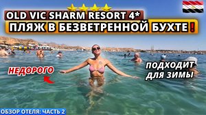 Египет🇪🇬 НЕДОРОГОЙ отель для ЗИМНЕГО ОТДЫХА❗Old Vic Sharm Resort 4* Подробный обзор отеля: часть 2