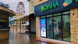 Пустая Алушта. Кормлю голодных чаек на набережной курорта. Алушта зимой 2025