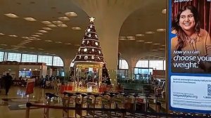 Мистерии Экспедиции по Шри-Ланке. Репортаж из аэропорта Мумбай, 7-й цивилизации Индии. МНШУ