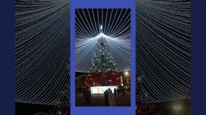 Главная Ёлка Тулы Попала В Книгу Рекордов России.mp4