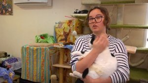 Ищу тебя, хозяин. 09-12-2025