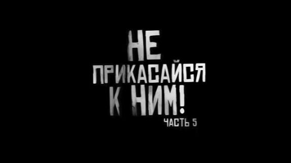 НЕ ПРИКАСАЙСЯ К НИМ. часть 5 Страшные истории на ночь
