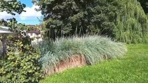 #вспомним лето# прогулка по брянску