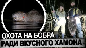 Охота на бобра готовим бобриный хамон