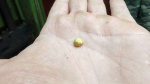 Добыча золота с помощью мотобура