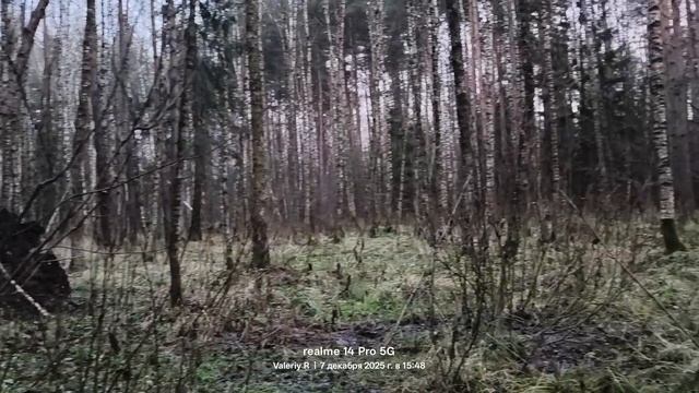 Прогулка #36 07.12.2025 #Лосиныйостров смотреть онлайн