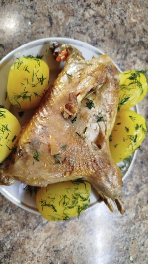 Как вкусно приготовить Фазана если нет опыта в кулинарии (самый вкусный Фазан)