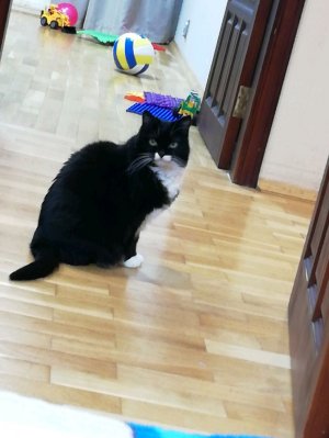 Игра игроков