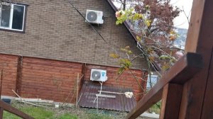 СОЧИ ГОРНОЕ ЛОО ВЕЧЕР 09.11.2025