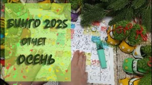 Отчет Бинго 2025 Осень. Участник 115