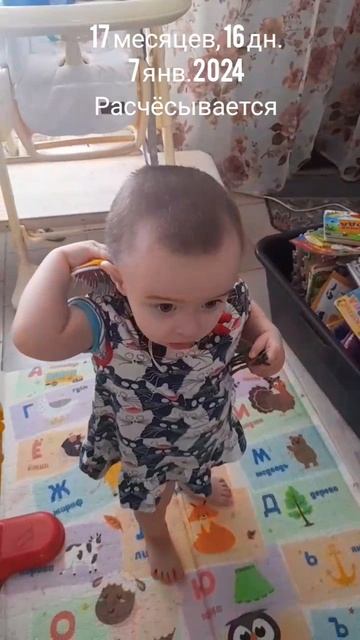 17 мес.,16 дн.Расчёсывается и расчесывае 7 янв.2024.mp4