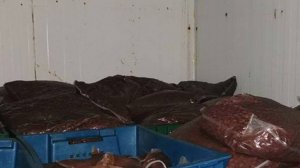 Суд Москвы начнет рассмотрение дела о массовом отравлении салатом лобио