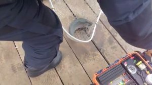 На блесну.СЗ