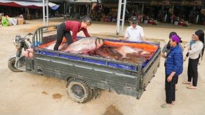 Фермеры, вытягивающие сети, вылавливают много крупной рыбы. Везу на рынок, чтобы продать.