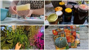 Получился как хотела. Старое варенье не на выброс. Уход за цветами.Покупки из Победы,Светофора и ВБ