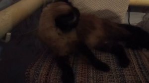 ПРОСТАЯ ЖИЗНЬ СЕМЬИ В СЕЛЕ!!! Один день в НАШЕЙ семье обшиваем кухню вагонкой сходили в лес...