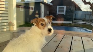 ЧТО ЗАЦЕПИТ СИЛЬНЕЕ?! ДАЧНЫЙ ВЛОГ или КАДРЫ ИЗ АЛМАТЫ И ШАНХАЯ - КРУТОЙ КОНТРАСТ!