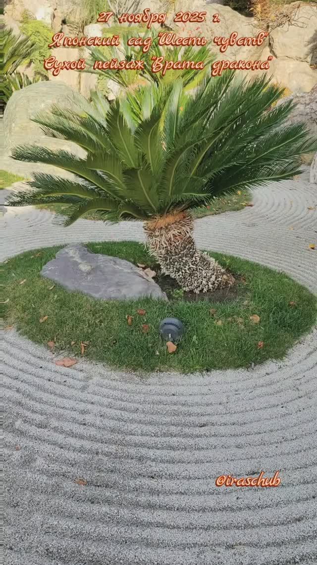 27 ноября 2025 г. Японский сад "Шесть чувств". Сухой пейзаж "Врата дракона" #крым #мрия #японскийсад