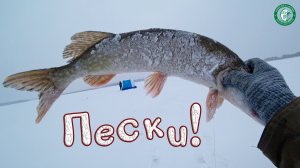 ПЕРВЫЙ ЛЁД НА ПЕСКАХ! ЩУКА ЖАДНО ГЛОТАЛА ЖИВЦА НА ЖЕРЛИЦЫ, ПОДЛЕЩИК НА УДОЧКИ, РЫБАЛКА НА УРАЛЕ!