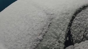 09-12-2025 Первый и неожиданный снег.