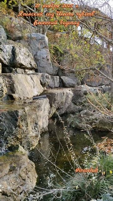 27 ноября 2025 г.Японский сад "Шесть чувств".Весенний водопад #крым #мрия #японскийсад #шестьчувств