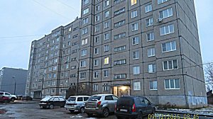 Мы Гуляем Мы Живём . 9 декабря 2025 год .