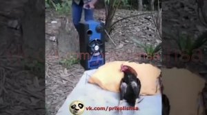 Видео от МЭН - Мне Это Нравится