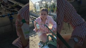 ЧЕМ МЫ ПОДКАРМЛИВАЛИ РАСТЕНИЯ в 2025?