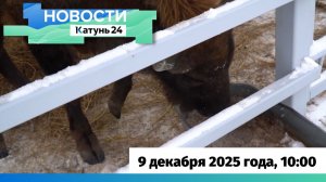 Новости Алтайского края 9 декабря 2025 года, выпуск в 10:00
