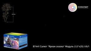 В7441 Салют Яркая сказка Модуль (1,0х25) 161