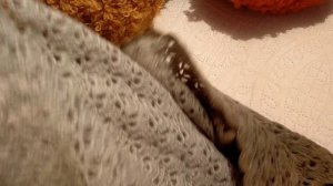 Итоги СП "Тёплые объятия" с Александрой Нещировой.