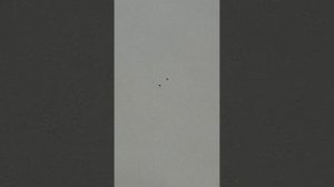 Тренировка голубей 09.12.2025г.Голубедром Сошки.