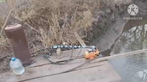 Опоросилось две свинки, ждём третью. Панда нарожала угольков.