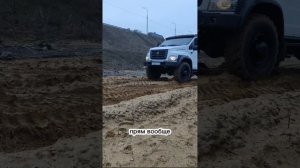 Газон Садко Некст