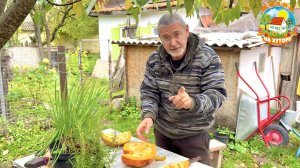 Осень на хуторе, лиса пришла за утками. Решили поменять новые шторы.