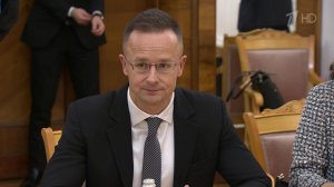 Ситуацию вокруг Украины стала одной из тем встречи глав МИД России и Венгрии.