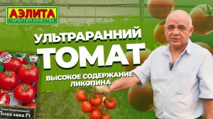 Ультраскороспелый детерминантый томат ПОЛНА ХАТА F1