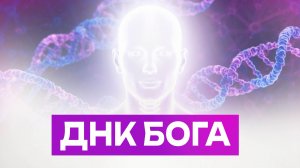 ДНК Бога. Самая запрещенная лекция профессора Гаряева