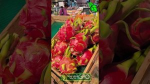 Семена из Таиланда: мой поход в местный магазин.