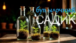 ДФ.Маленький мир за стеклом. И.Рачков и Е.Авдеева