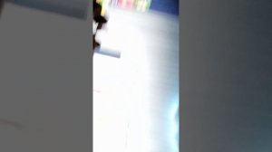 VID_20251202_152245.mp4