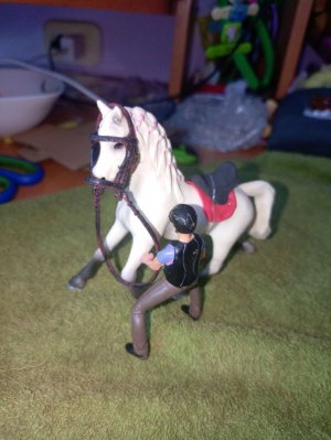 делаем амуницию на лошидей колекта?